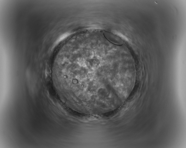 X0000086761255200704271723