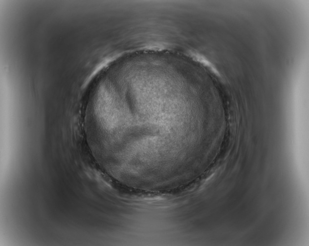 X0000086761256200704271723