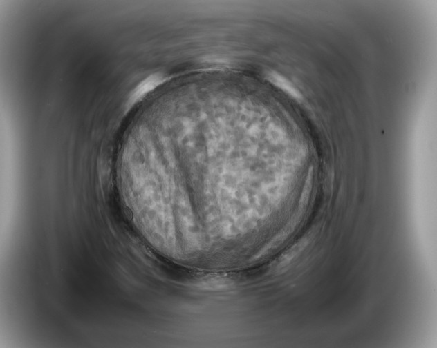 X0000086761259200704271723