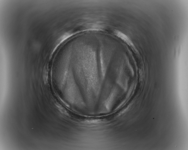 X0000086761260200704271723