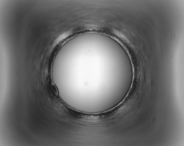 X0000086761261200704271723