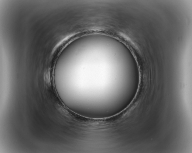 X0000086761262200704271723