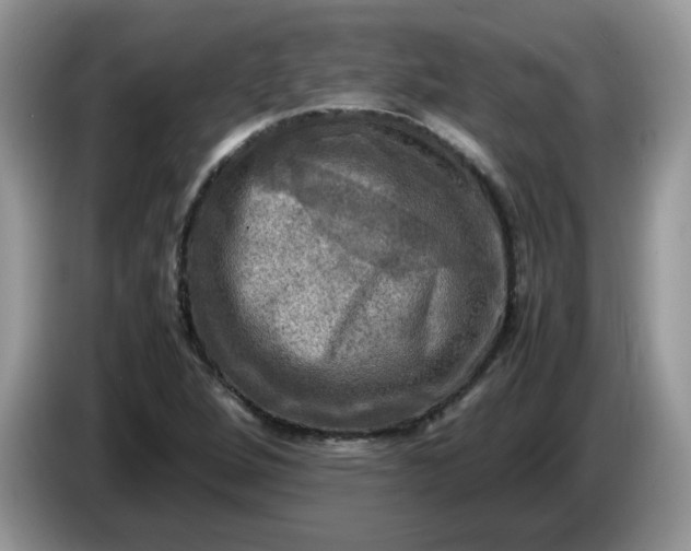 X0000086761264200704271723