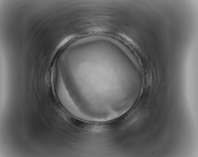 X0000086761266200704271723