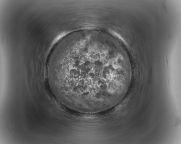 X0000086761267200704271723