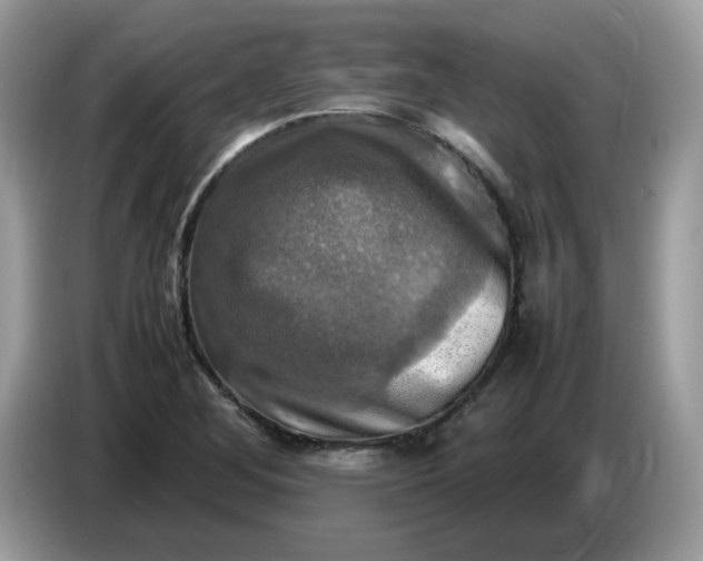 X0000086761268200704271723