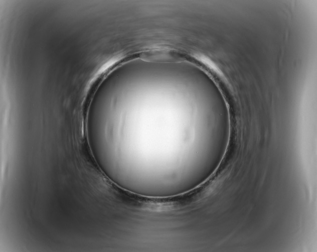 X0000086761269200704271723