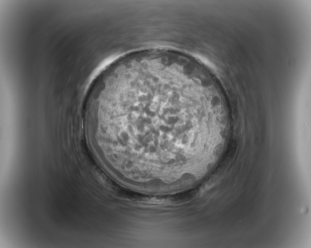 X0000086761271200704271723