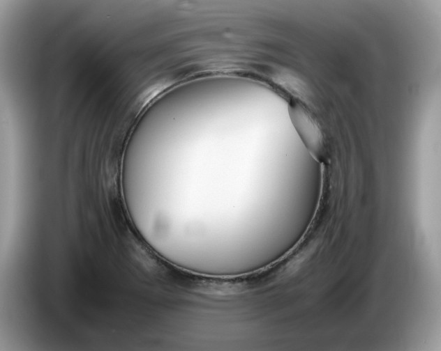 X0000086761273200704271723