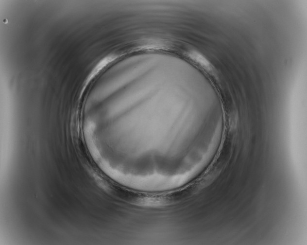 X0000086761274200704271723