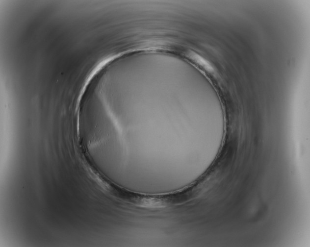 X0000086761275200704271723