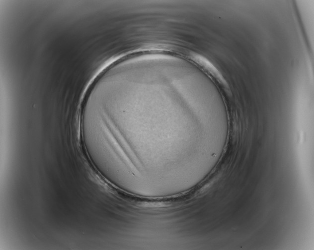 X0000086761276200704271723