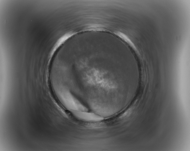 X0000086761277200704271723