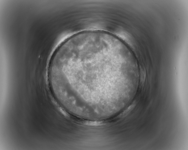 X0000086761278200704271723