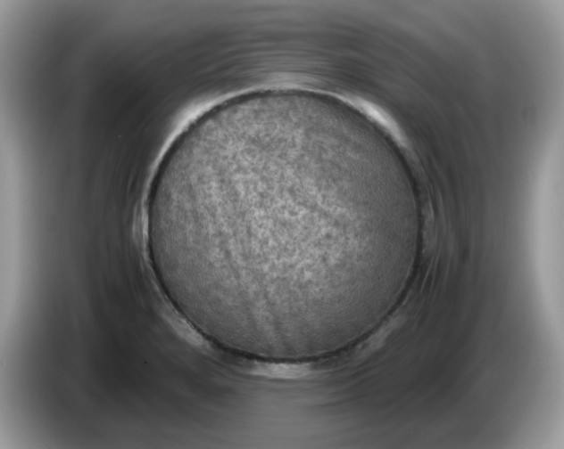 X0000086761280200704271723