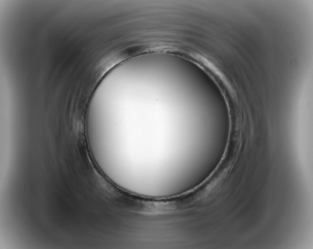 X0000086761281200704271723