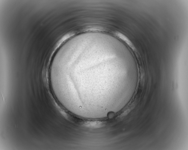 X0000086761282200704271723