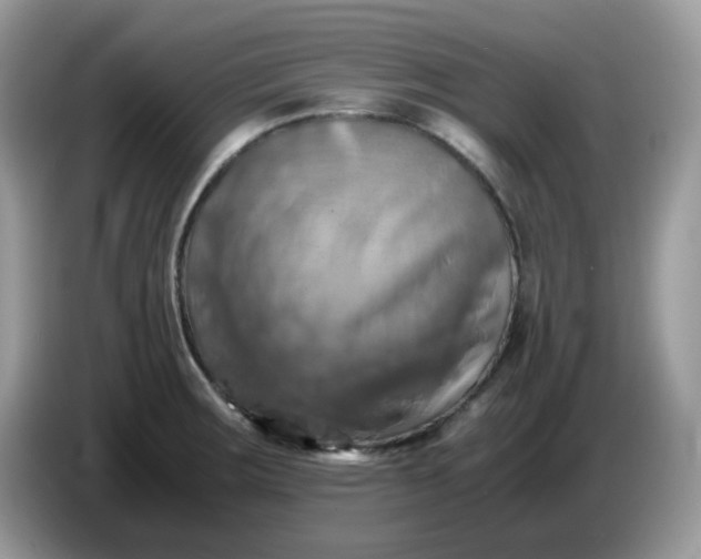 X0000086761283200704271723