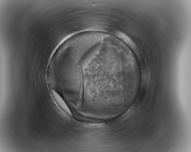 X0000086761284200704271723