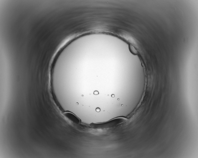 X0000086761286200704271723