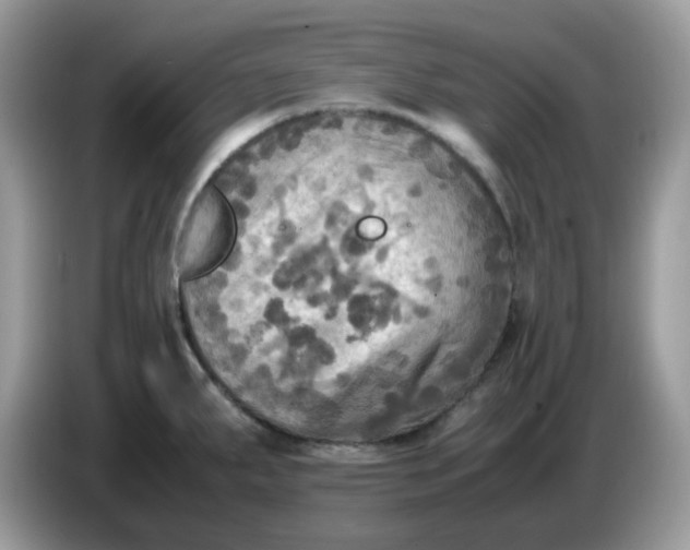 X0000086761287200704271723