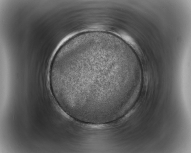 X0000086761288200704271723