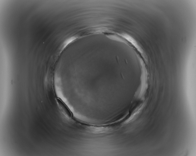 X0000086761289200704271723