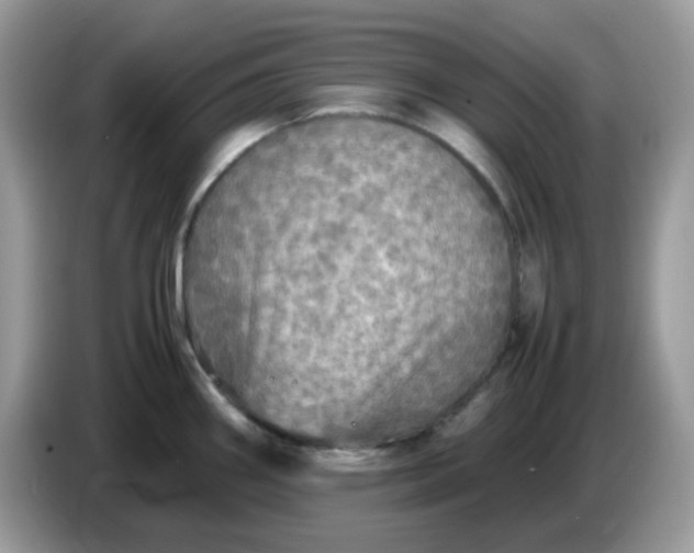 X0000086761290200704271723