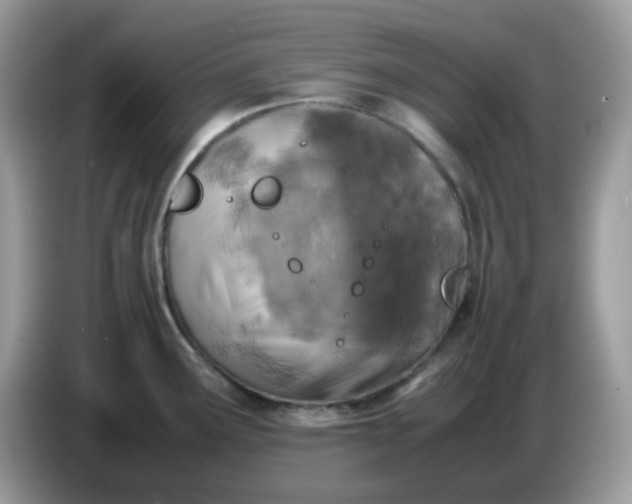 X0000086761291200704271723