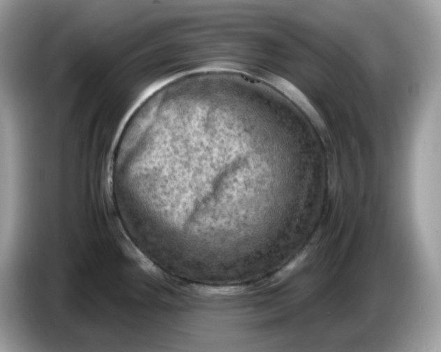 X0000086761292200704271723