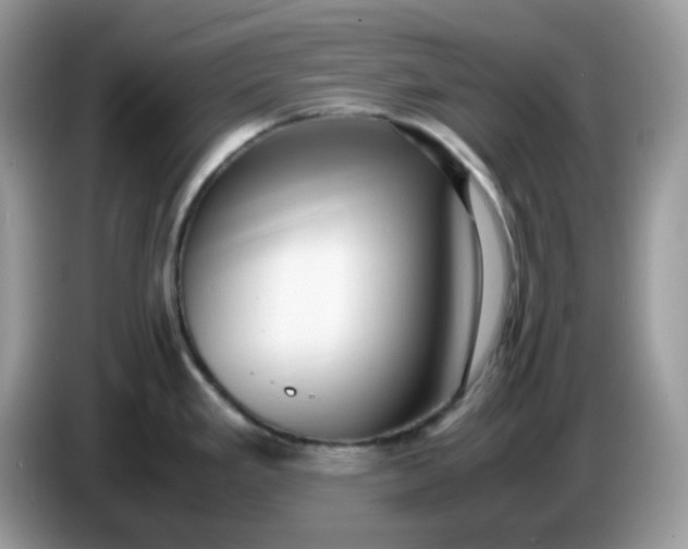 X0000086761293200704271723