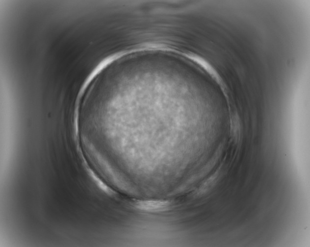 X0000086761294200704271723