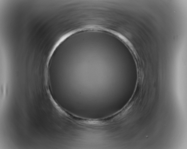 X0000086761295200704271723