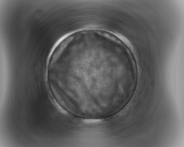 X0000086761296200704271723