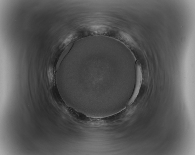 X0000086761298200704271722