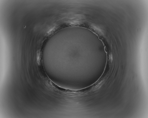 X0000086761300200704271722