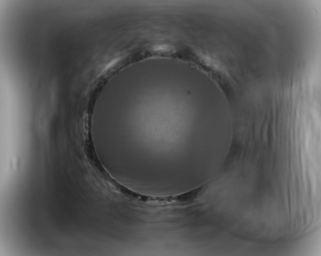 X0000086761301200704271722