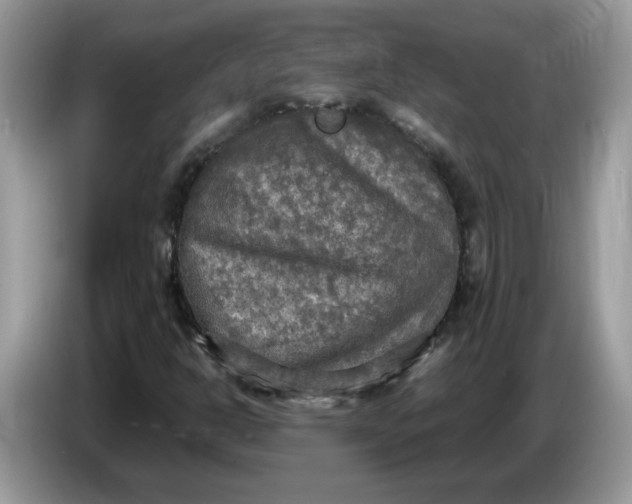 X0000086761302200704271722