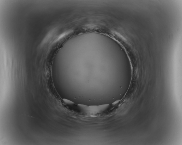 X0000086761303200704271722