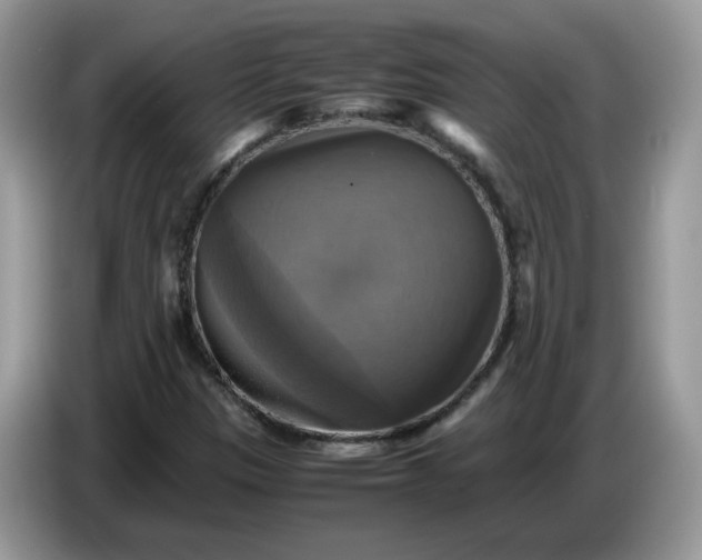 X0000086761305200704271722