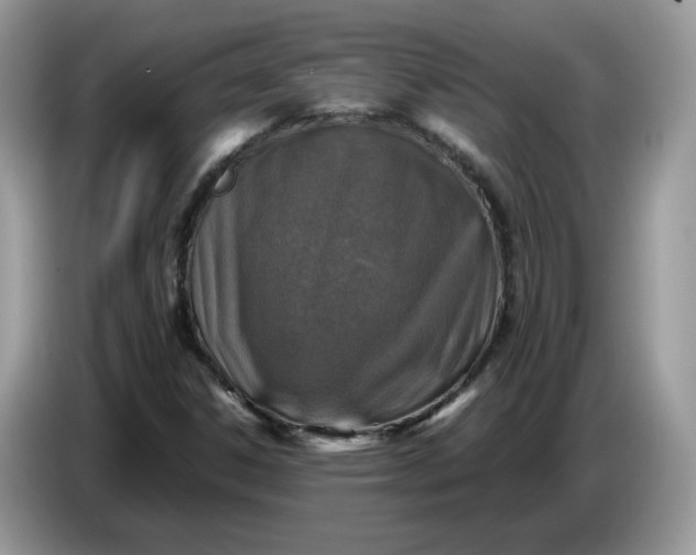 X0000086761306200704271722