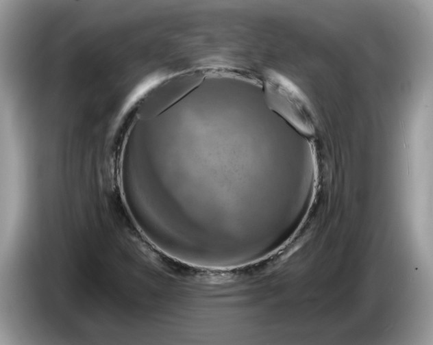 X0000086761310200704271722