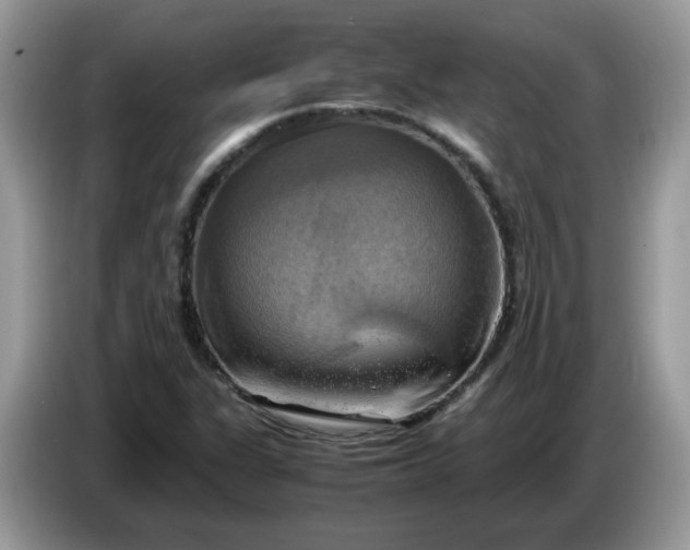 X0000086761311200704271722