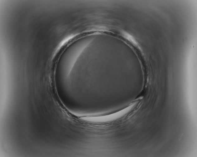 X0000086761312200704271722