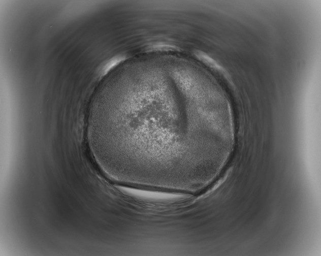 X0000086761313200704271722