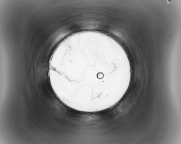 X0000086761314200704271722