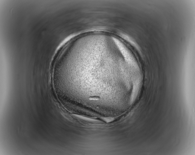 X0000086761316200704271722