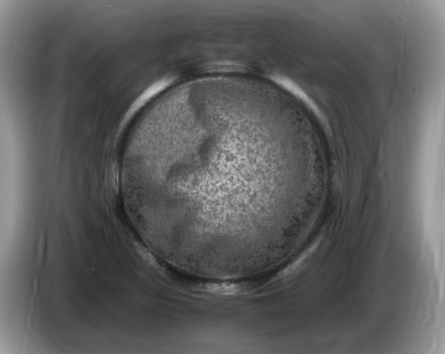 X0000086761317200704271722