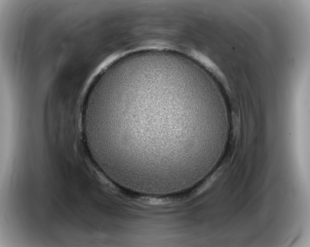 X0000086761318200704271722