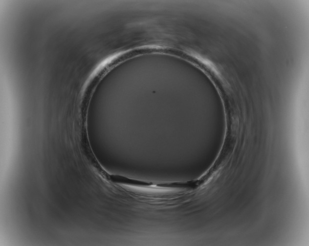 X0000086761319200704271722